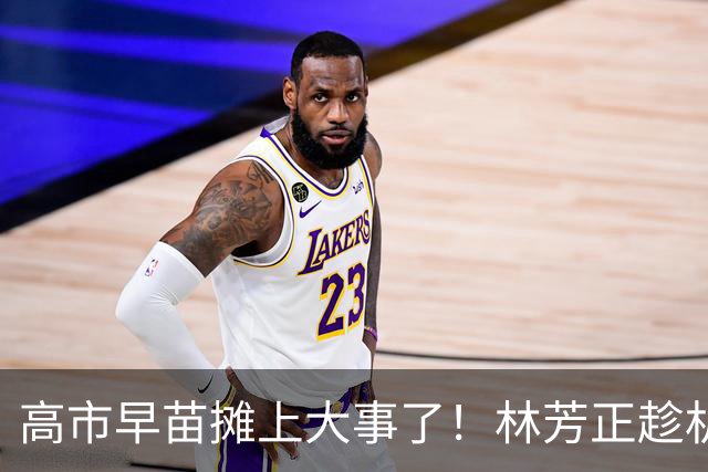 高市早苗摊上大事了！林芳正趁机逼宫高市，要为远大前程撒手一搏